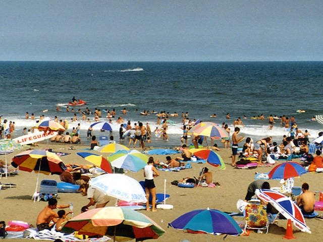 【千葉×海水浴場】観光地引網の体験ができる「中里海水浴場」