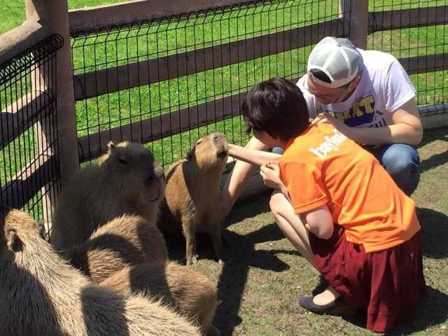 【南房総×花畑】アロハガーデンたてやま