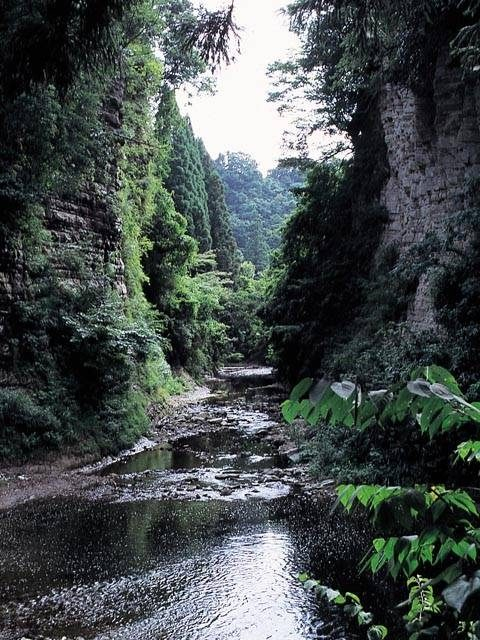【養老渓谷 歴史ハイキング】3.弘文洞跡