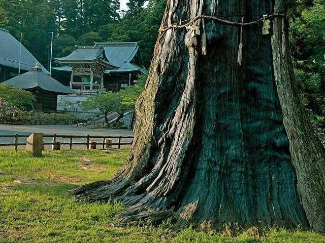 日蓮が出家した名刹を訪ねる「清澄寺」