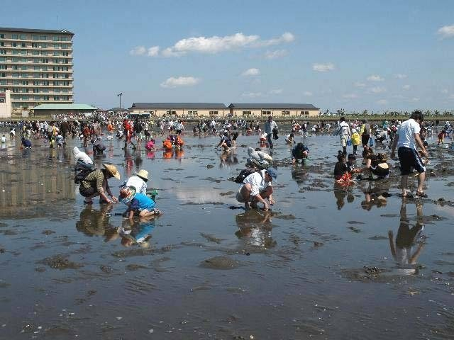 金田みたて海岸潮干狩場