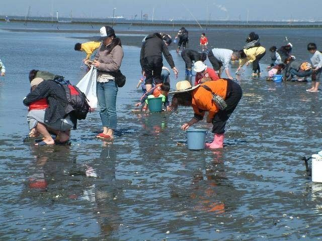 木更津海岸潮干狩場