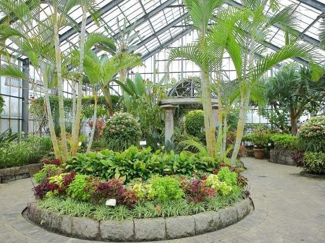 【南房総×アロハガーデンたてやま】道の駅 南房パラダイス