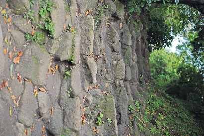 鋸山おすすめのコース⑥ 鋸山山頂に広がる約33万㎡の境内「鋸山・日本寺」