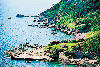 大房岬自然公園