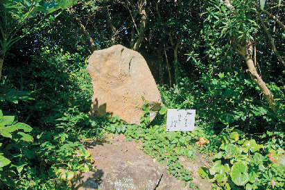 外房の海に浮かぶ人気観光地は歴史人物の伝説が残る島「名勝仁右衛門島」