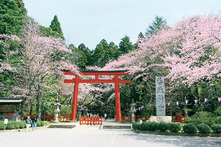 【佐原観光×ひと足のばして】古くから信仰を集める神社「香取神宮」