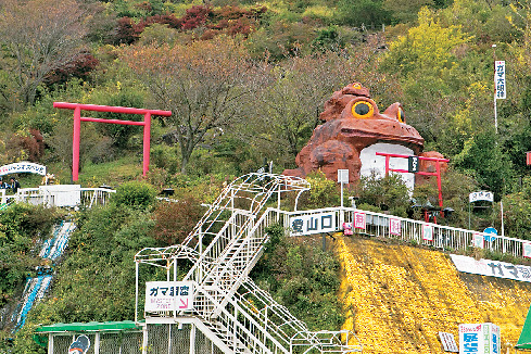 【筑波山登山の見どころ】7.つつじヶ丘