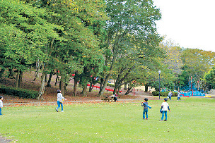 千波公園 少年の森