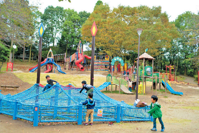 千波公園 少年の森