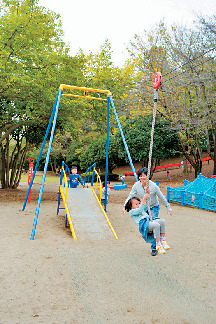 千波公園 少年の森