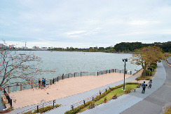 千波公園 少年の森