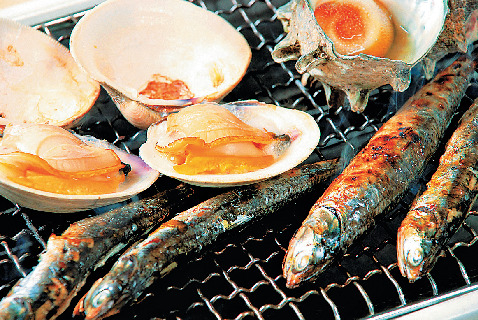 新鮮な地元の海の幸を心ゆくまで「お食事処 やなぎや」