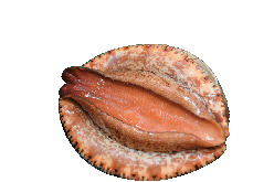 魚っちんぐ千倉