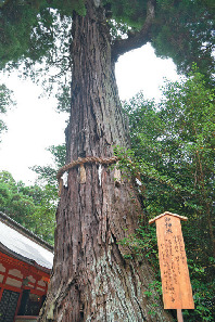 ご利益スポット・香取神宮の名所