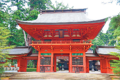 ご利益スポット・香取神宮の拝殿、御本殿、楼門をチェックしよう