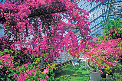 14:00 アロハガーデンたてやま