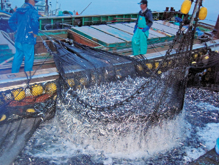 【鋸山周辺×魚介グルメ】コスパ最高の人気店で海鮮丼を豪快に!「食事処 ばんや」