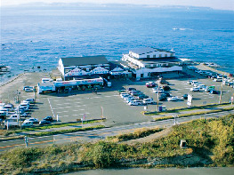 【鋸山周辺×魚介グルメ】金目鯛などの多種多彩な海鮮が味わえる「漁師料理 かなや」