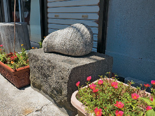 金谷港周辺はこんなところ