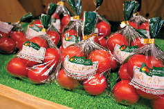 濃溝の滝と久留里をめぐるモデルプラン⑤ カズサの郷 愛彩畑