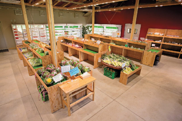 濃溝の滝と久留里をめぐるモデルプラン⑤ カズサの郷 愛彩畑