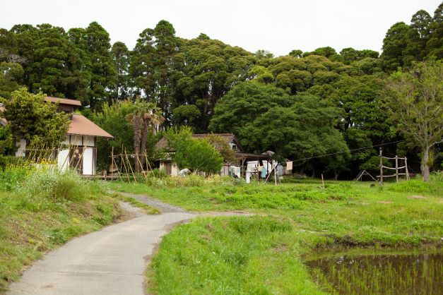 千葉の自然カフェ:気軽にヴィーガンフードが楽しめる「Brown’s Field Rice Terrace Cafe(ブラウンズ フィールド ライス テラス カフェ)」(いすみ)