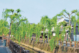 【水郷佐原】江戸時代に水運で繁栄した町の歴史が息づく