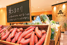 新感覚の農業テーマパークで楽しもう!「なめがたファーマーズヴィレッジ」