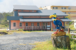 【茨城×海カフェ】海を見ながらヘルシーランチ「CAFE & DINING 海音」
