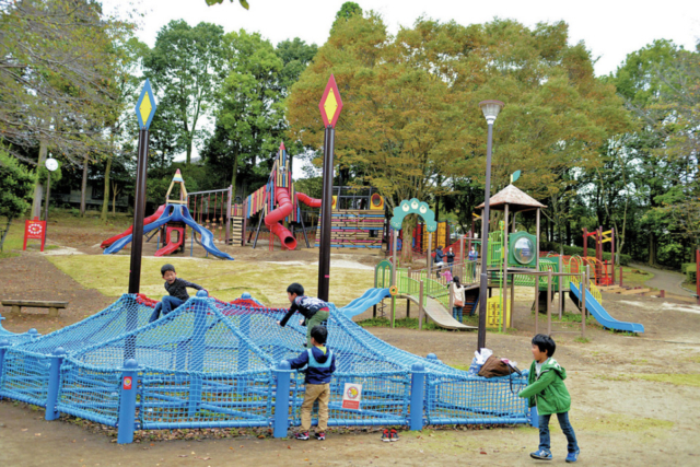 【水戸・偕楽園周辺×観光】広大な市民憩いの場「千波公園」