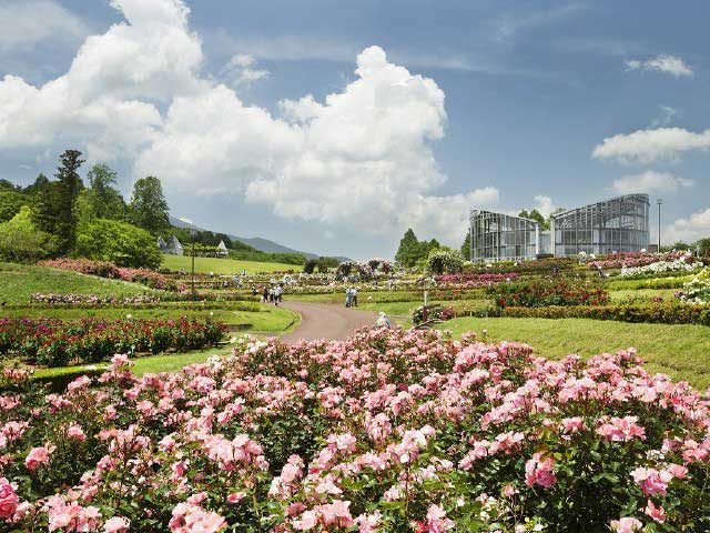 茨城県フラワーパーク