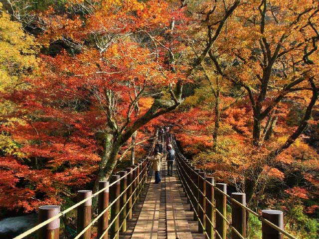【茨城×秋のドライブ】1.花貫渓谷