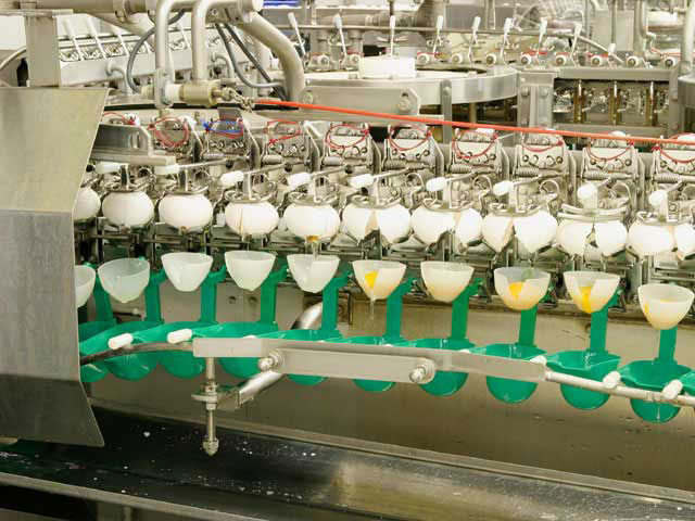 キユーピー五霞工場