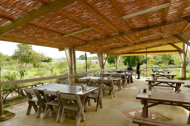 千葉の自然カフェ:ハーブが香る「九十九里ハーブガーデン」(九十九里)