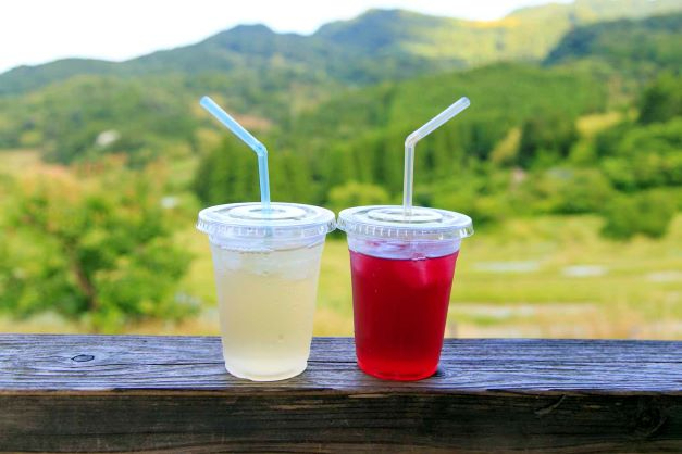 千葉の自然カフェ:棚田を目の前にした「古民家レストラン 棚 田カフェごんべい」(鴨川)