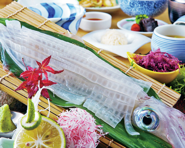 【福岡×海鮮】いかが透き通っとーと! 呼子の名店の味を博多で「河太郎 博多駅店」