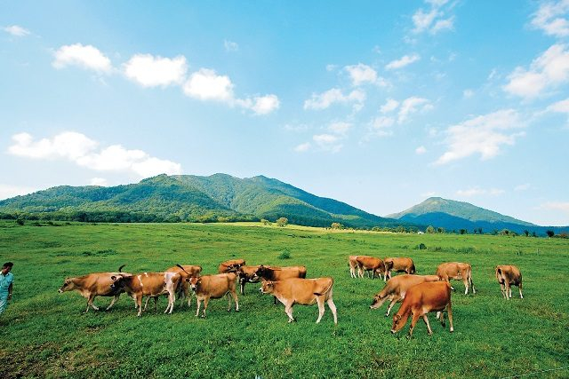 【岡山観光×1泊2日 1ランクアップコース】2日目