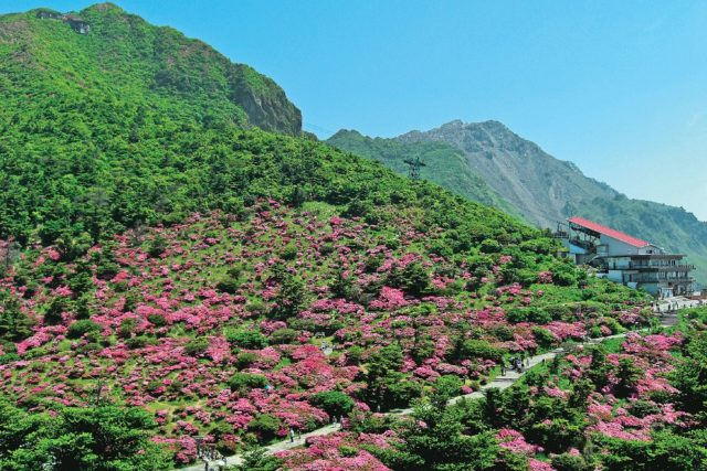 ロープウエーに乗って美景と平成新山を見に行く「仁田峠」