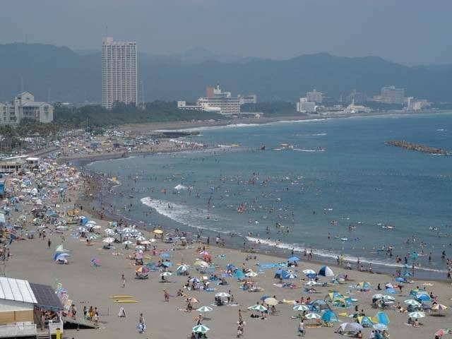 【千葉×海水浴場】ヤシの並木が南国ムードを漂わせる「前原海水浴場」