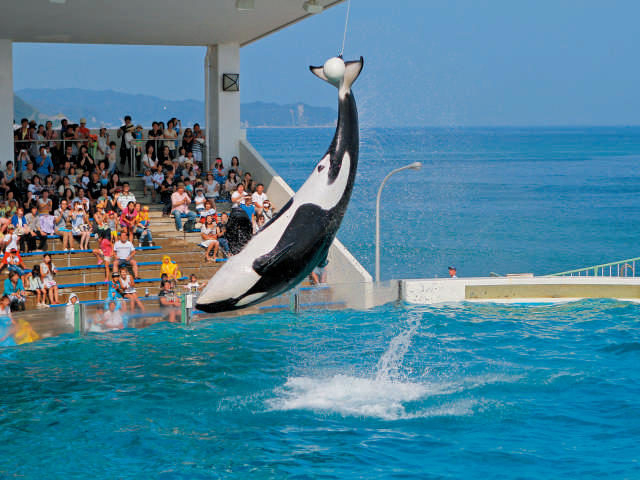 鴨川シーワールド