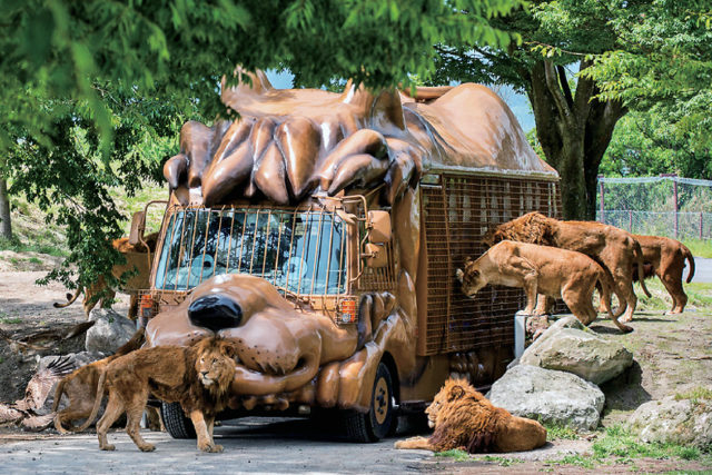 アフリカンサファリでドキドキ体験