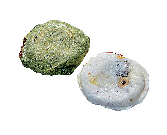 宮地嶽神社でここも注目!