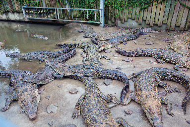 べっぷ地獄めぐり④鬼山地獄