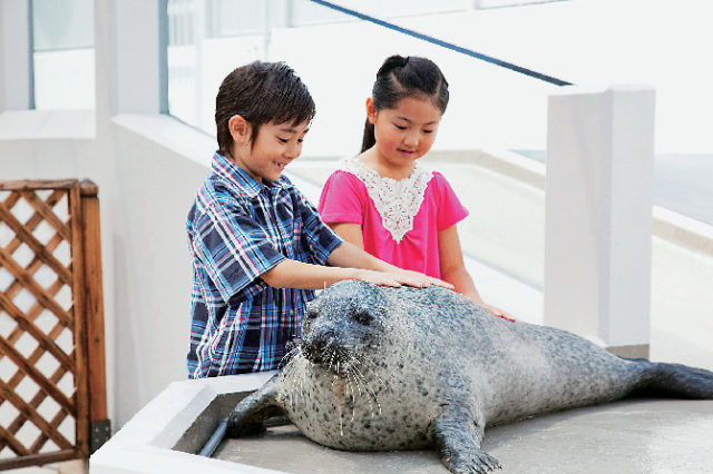 神戸市立須磨海浜水族園