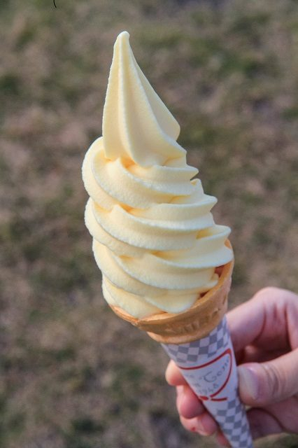 【鹿児島旅行×おすすめスポット】道の駅『桜島』火の島めぐみ館