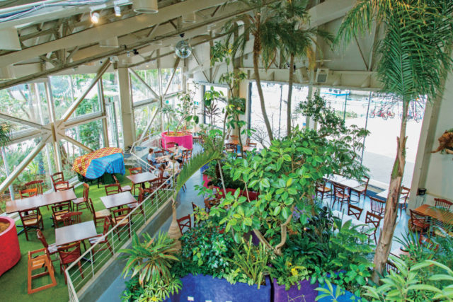 FISH IN THE FOREST 〜TOOTH TOOTH x そら植物園〜