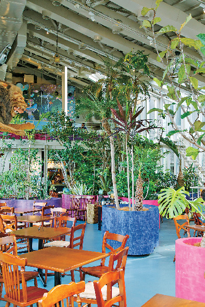 FISH IN THE FOREST 〜TOOTH TOOTH x そら植物園〜