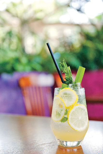 FISH IN THE FOREST 〜TOOTH TOOTH x そら植物園〜