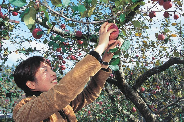 生駒高原りんご園